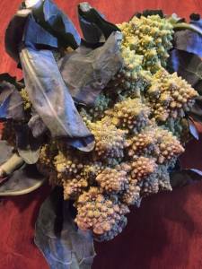 romanesco-raw